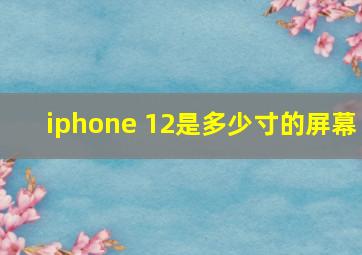 iphone 12是多少寸的屏幕